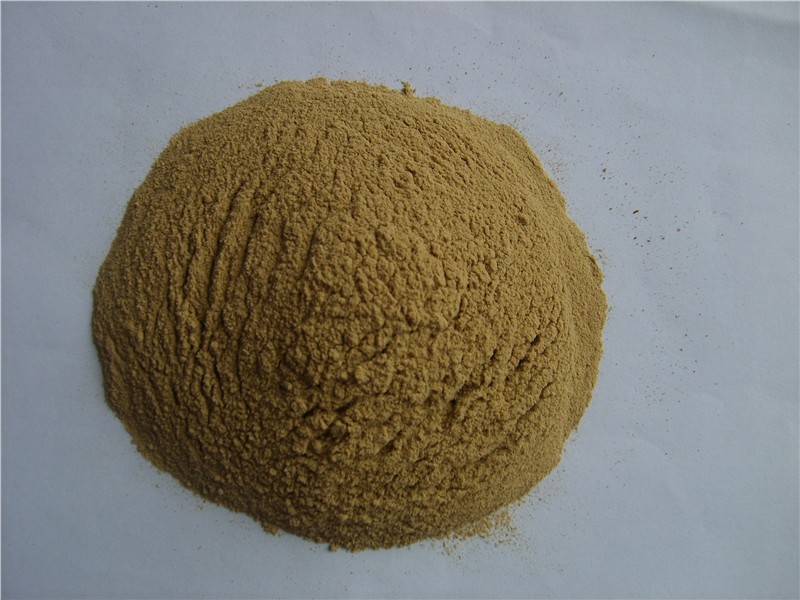 山東鵬飛生物科技 - 復合氨基酸酵母飼料 - 產(chǎn)品信息