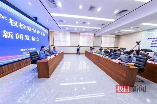 湖北通報(bào)知識(shí)產(chǎn)權(quán)檢察保護(hù)典型案例 侵權(quán)影片2200余部，8人因從事廣告業(yè)務(wù)獲刑