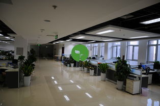 看準網 北京網絡技術服務領域的領軍者